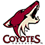 Phoenix Coyotes